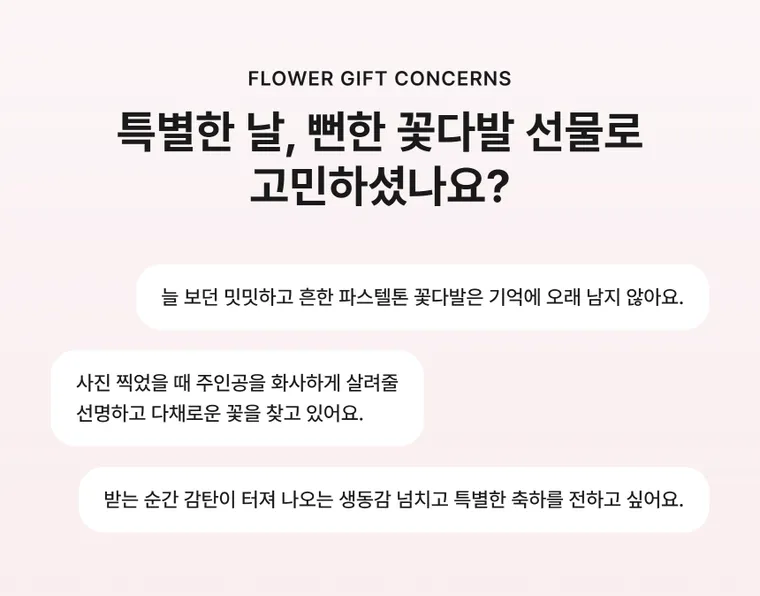 비비드오로라 — 상품 상세