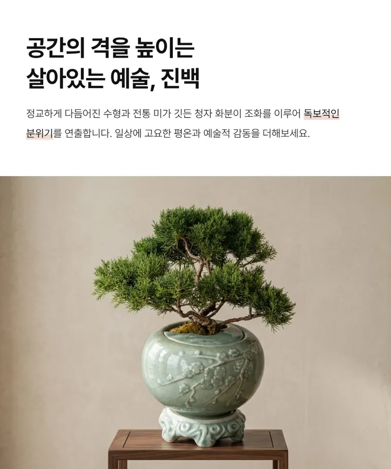 진백 B — 상품 상세