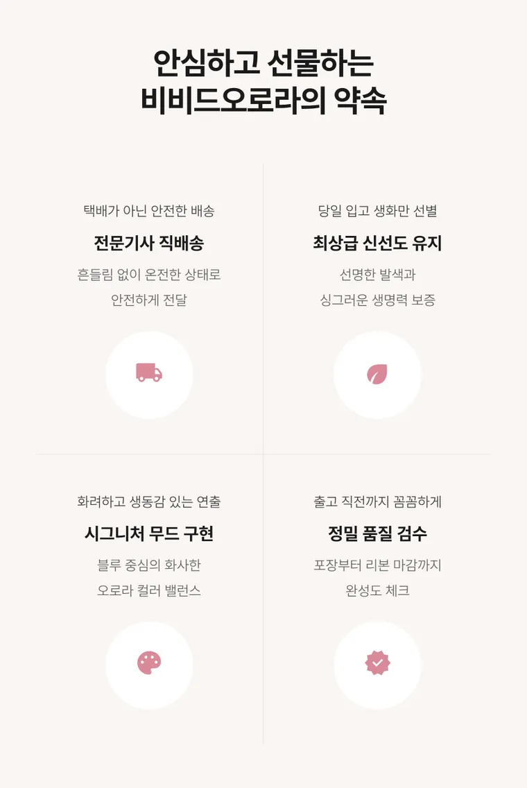 비비드오로라 — 상품 상세
