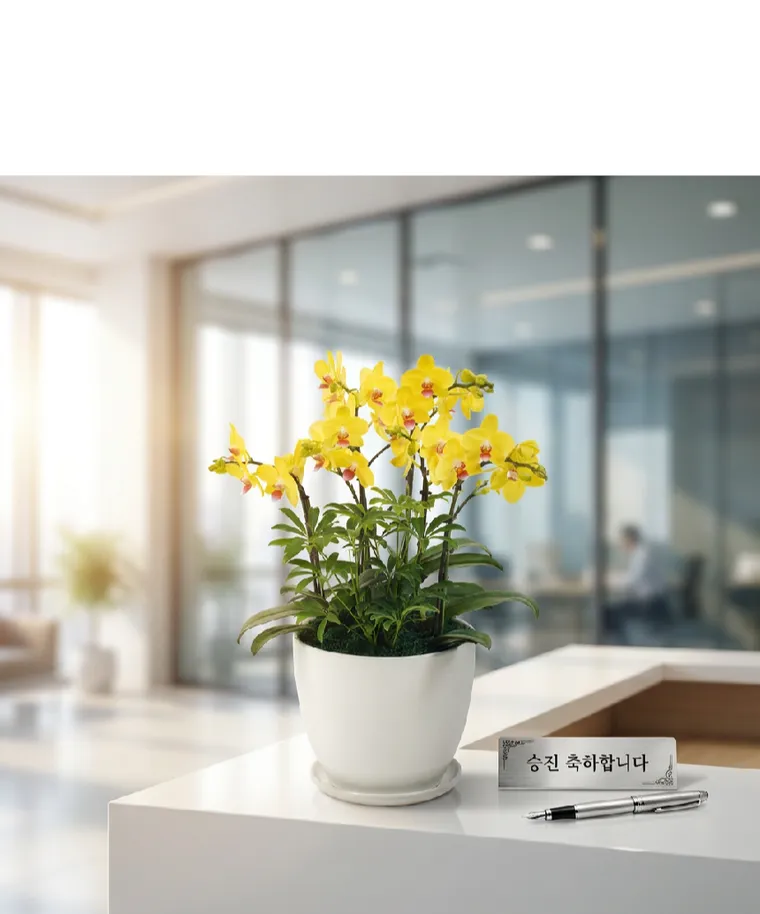 골든킹 — 상품 상세