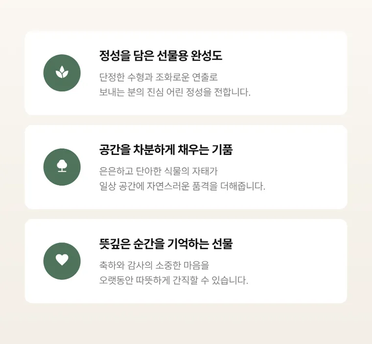 관음죽(서황금) — 상품 상세
