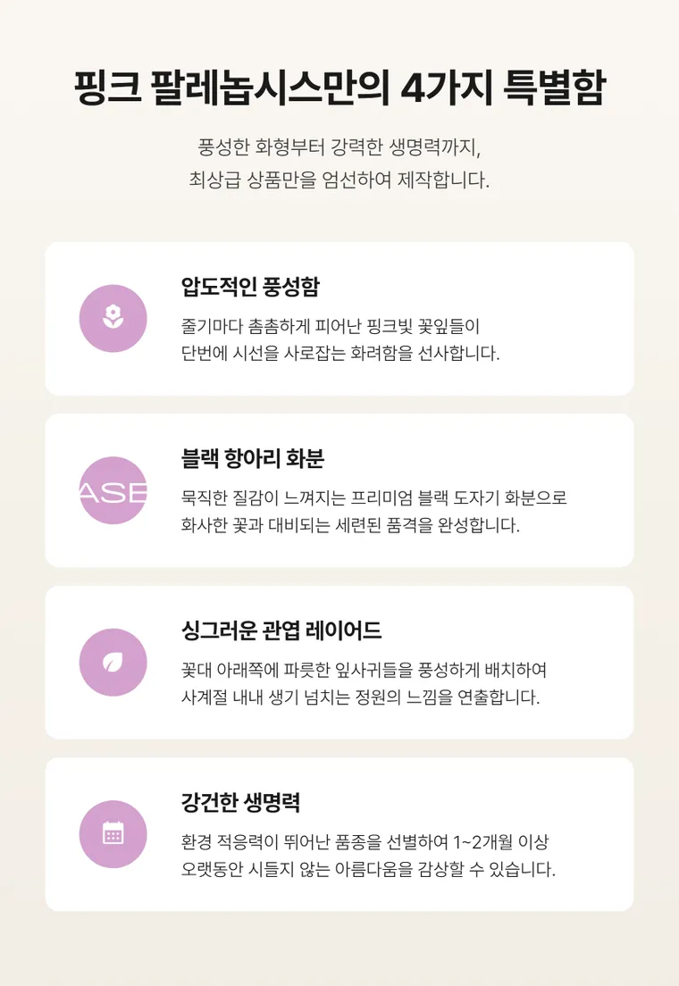 巴雷诺普西斯（粉色） — 详情图
