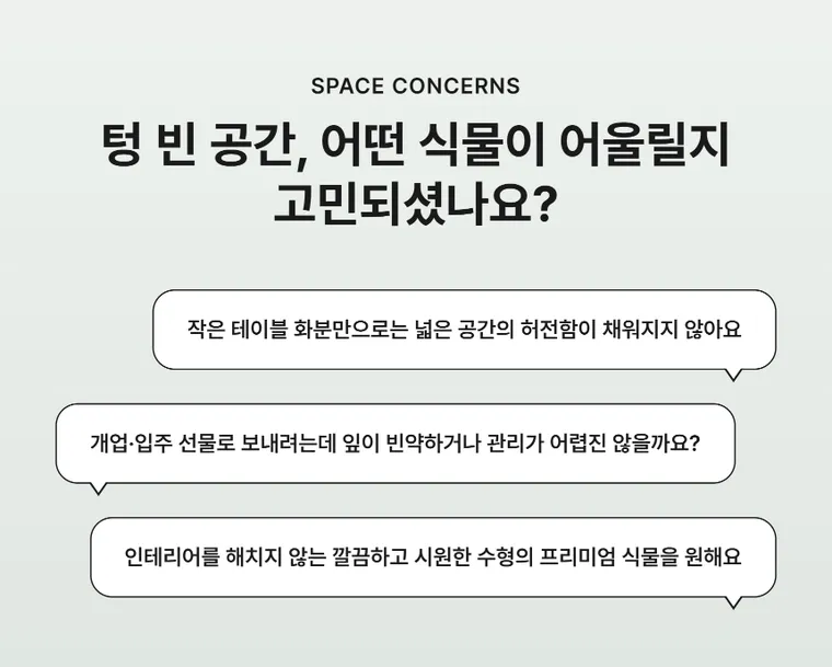 대엽홍콩 — 상품 상세