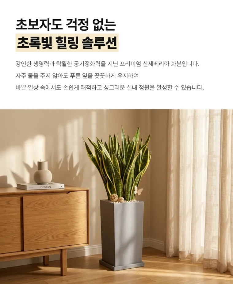 산세베리아 A — 상품 상세