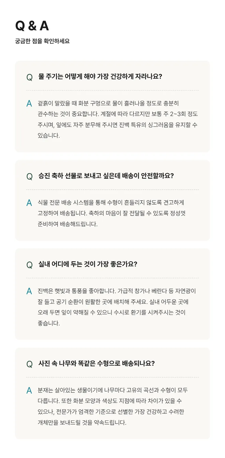 진백 A — 상품 상세