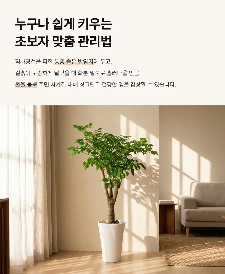 幸福树 A — 详情图