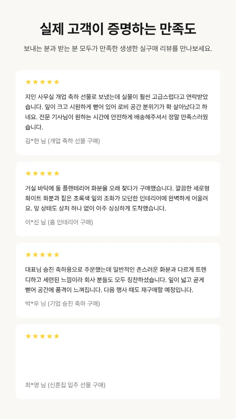 대엽홍콩 — 상품 상세