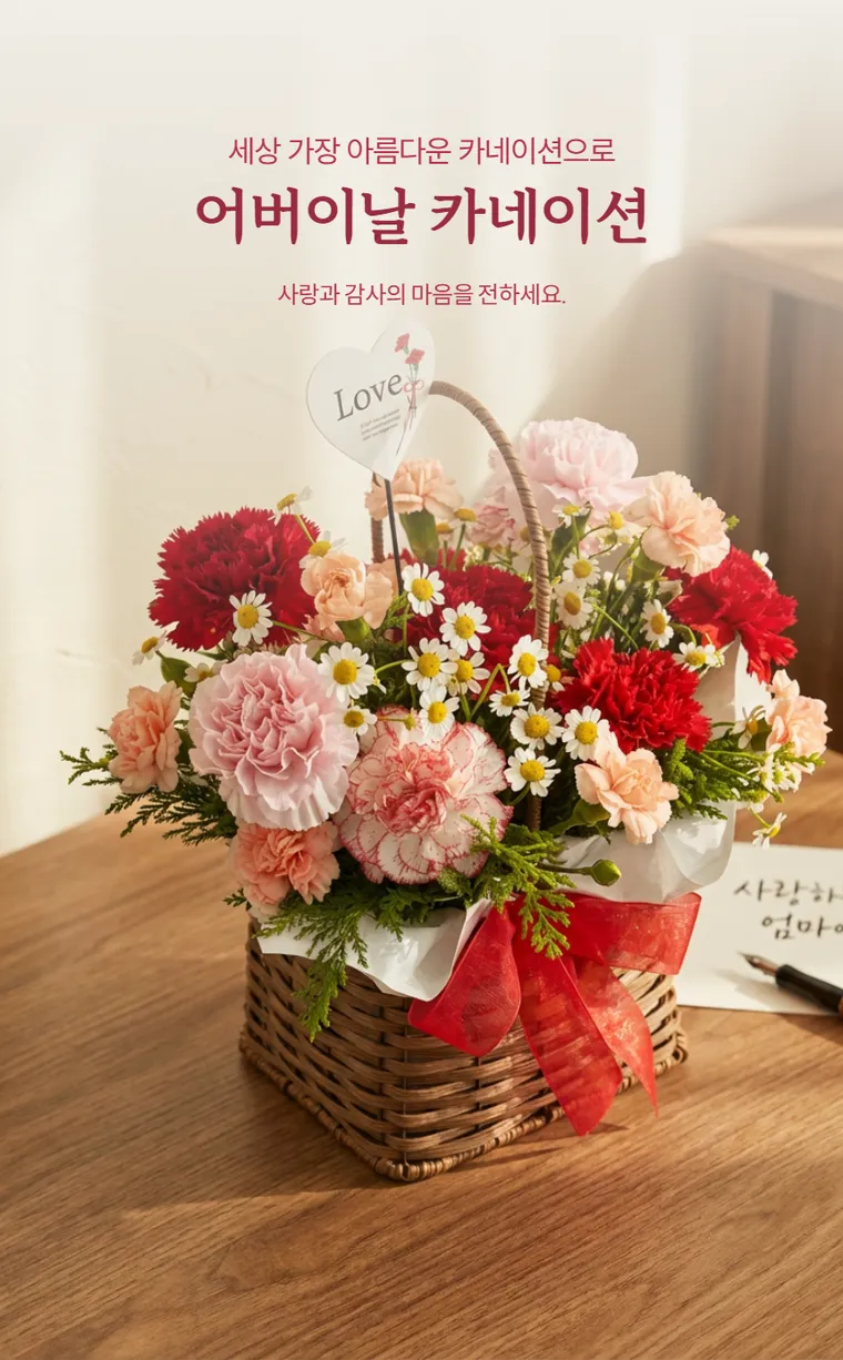 카네이션 C — 상품 상세