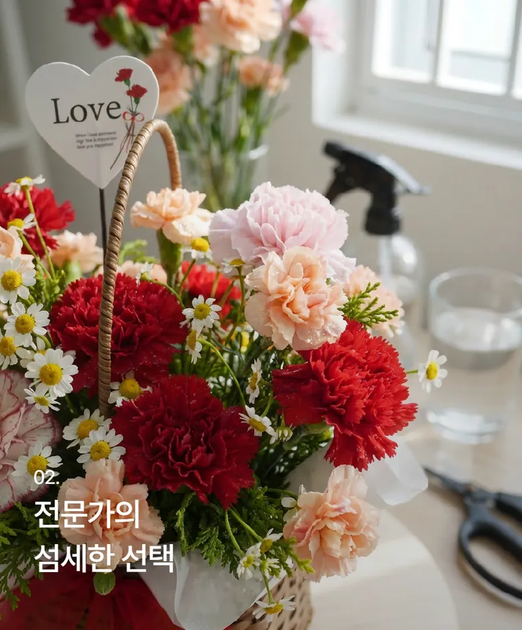 카네이션 C — 상품 상세