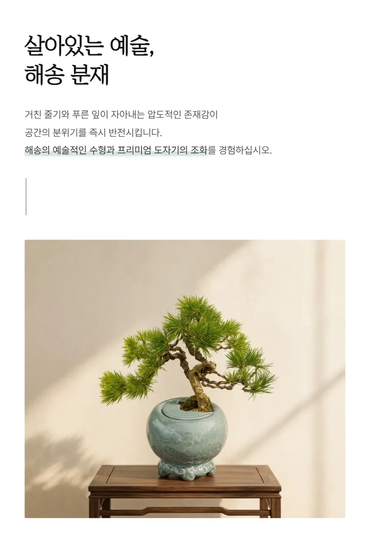 해송 A — 상품 상세