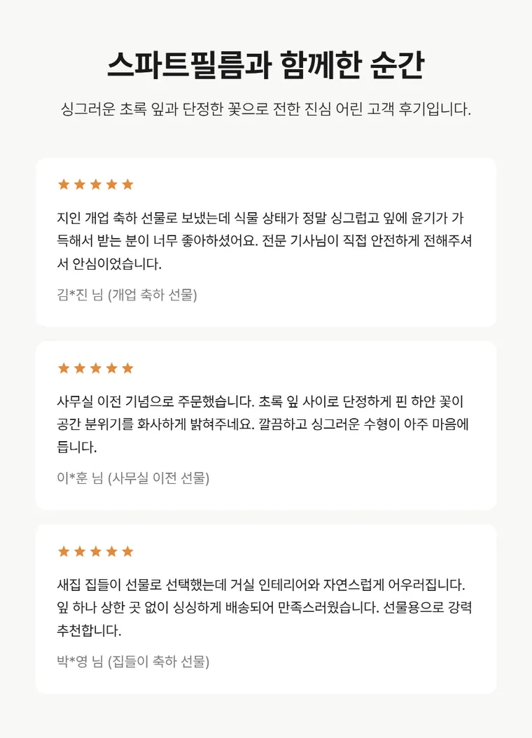스파트필름 A — 상품 상세