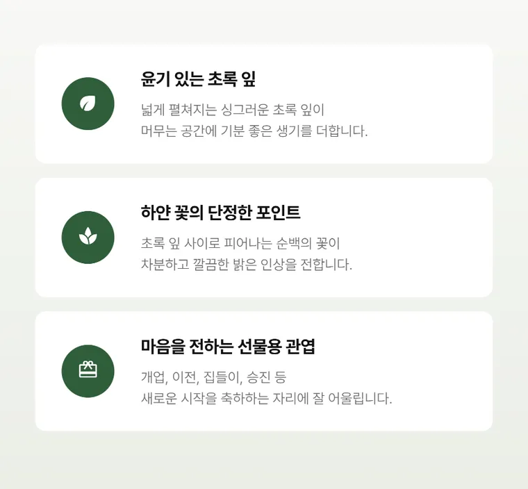 스파트필름 A — 상품 상세