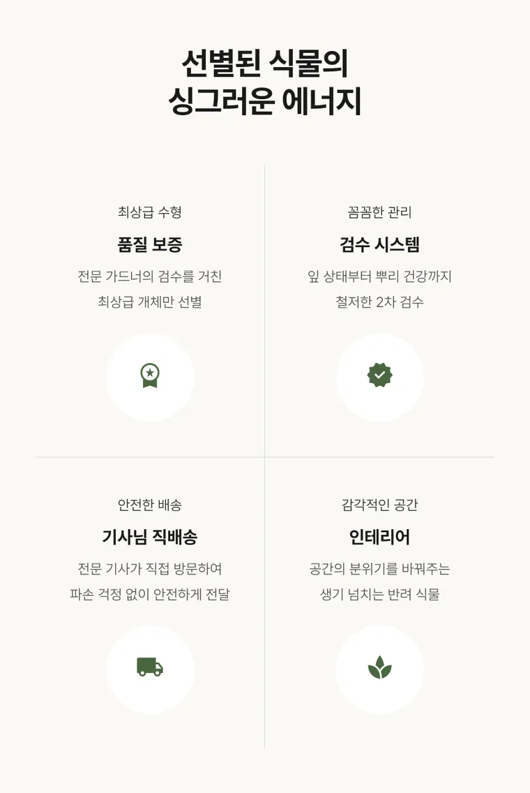 가지마루B — 상품 상세