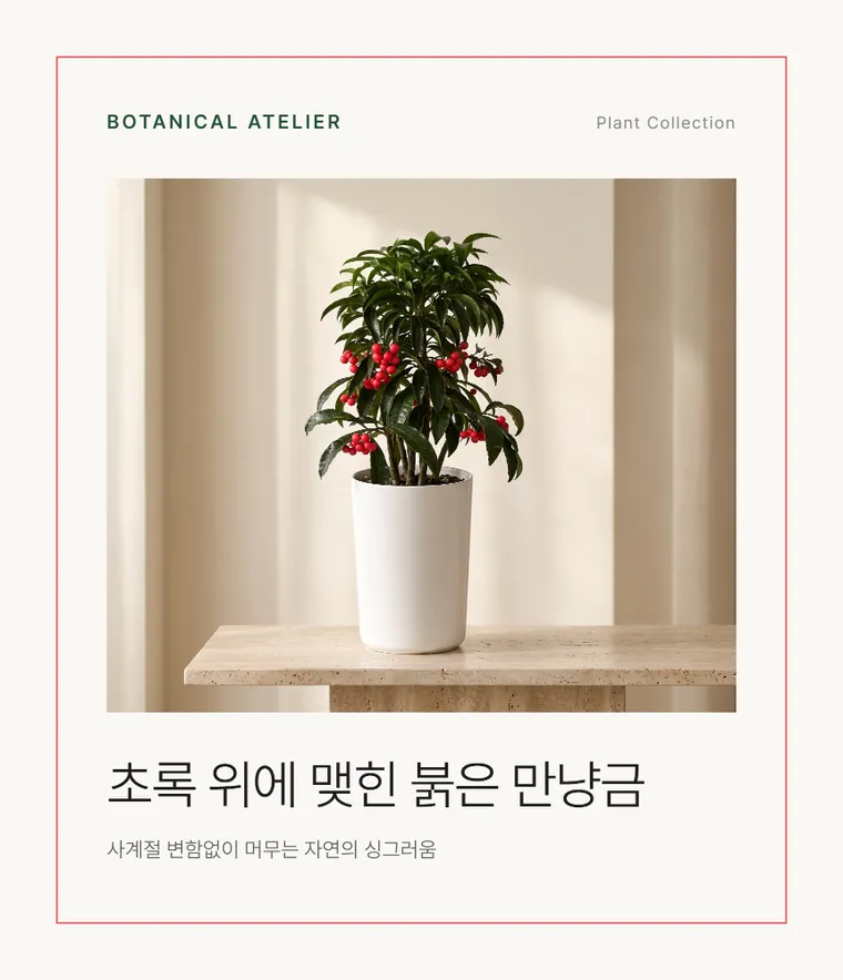 만냥금 — 상품 상세