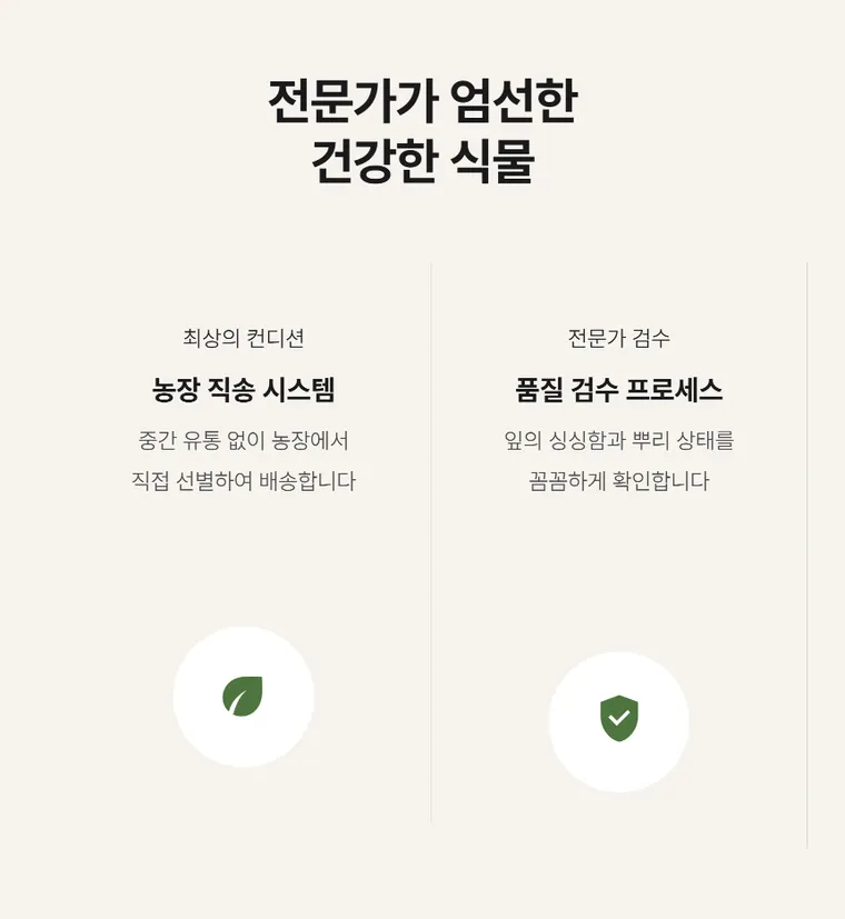 极乐鸟 A — 详情图