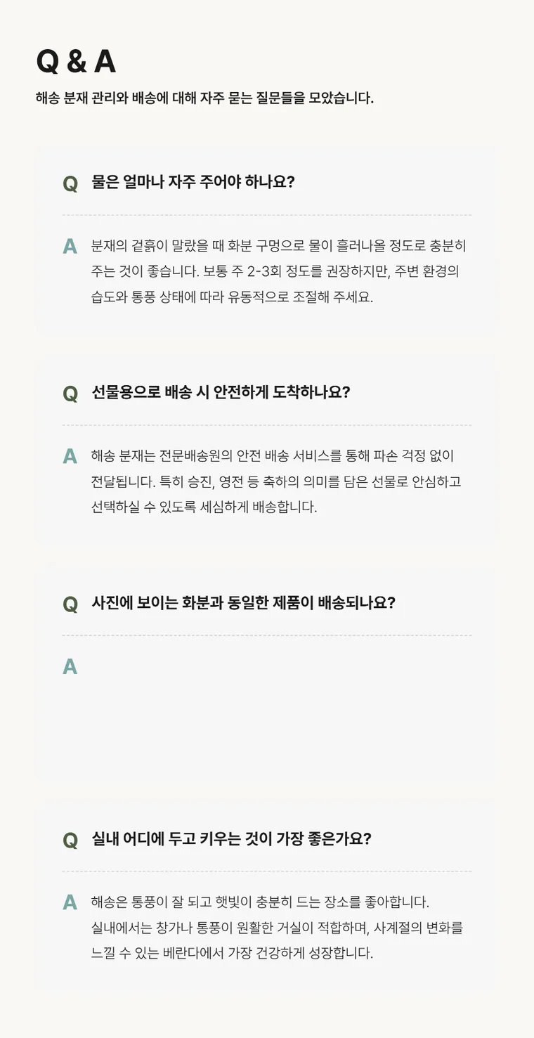 해송 A — 상품 상세