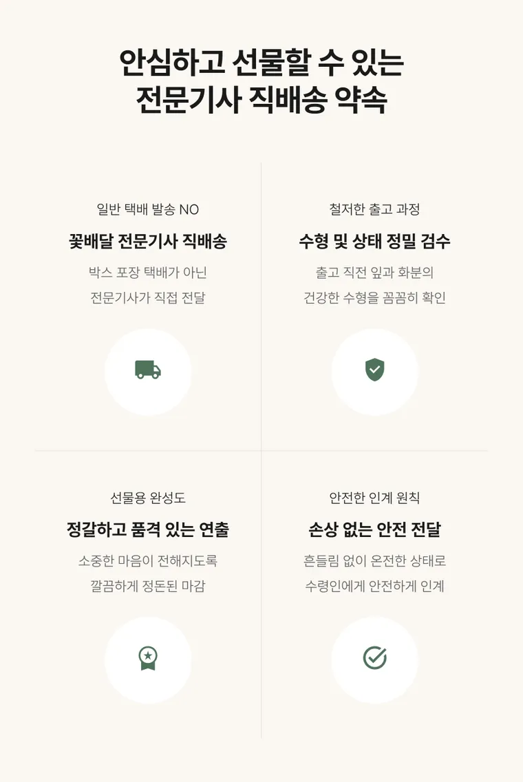 관음죽(서황금) — 상품 상세