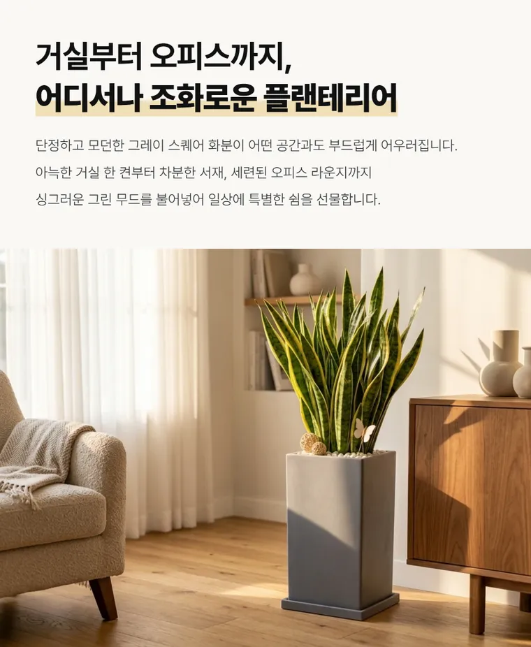 산세베리아 A — 상품 상세