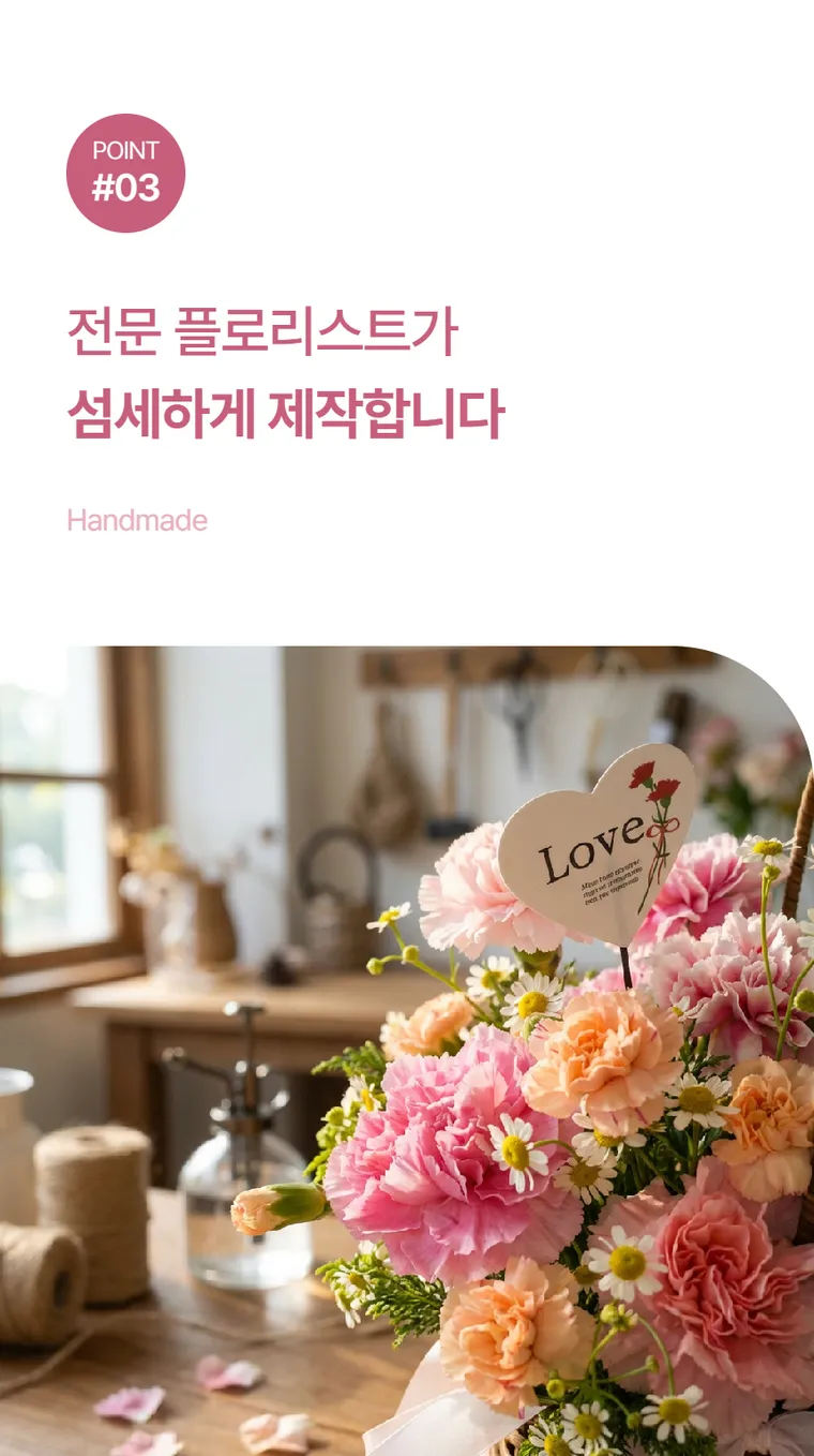 카네이션 B — 상품 상세