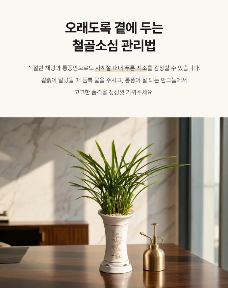 철골소심(일반분) — 상품 상세
