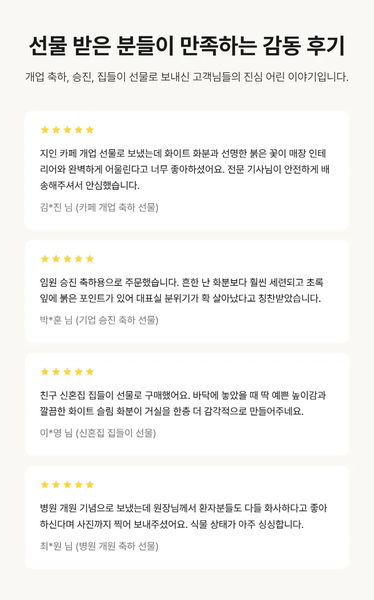 안시리움 A — 상품 상세