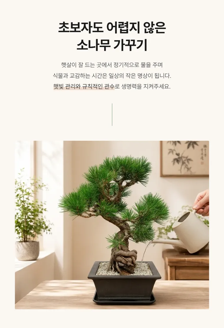Pine Bonsai B — Detail images