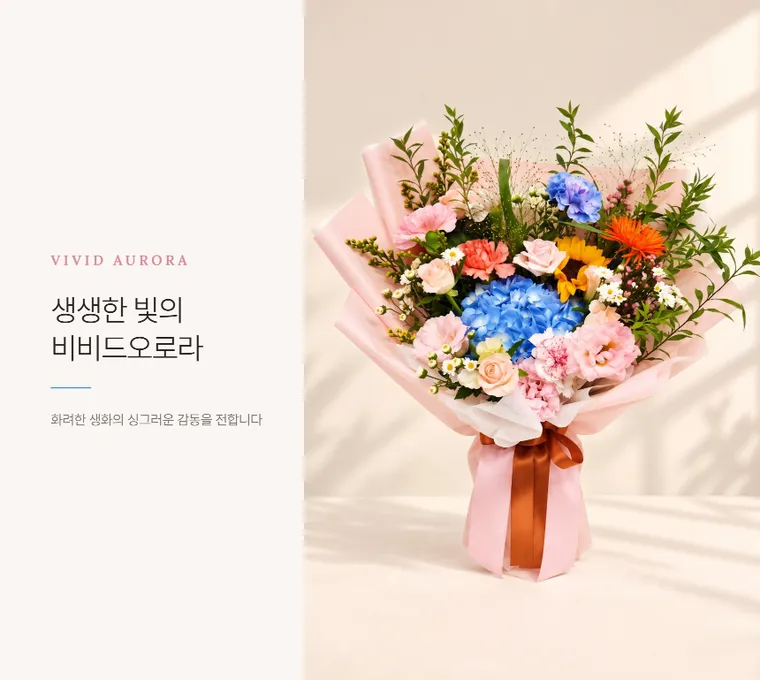 비비드오로라 — 상품 상세