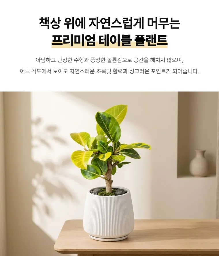 Cây đa Bengal T — Hình chi tiết