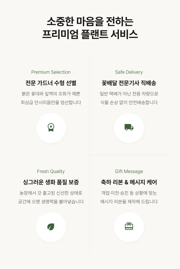 안시리움 A — 상품 상세