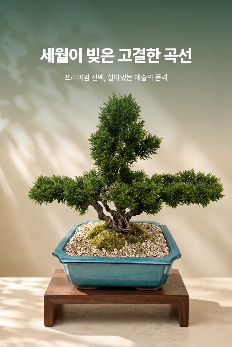 진백 A — 상품 상세