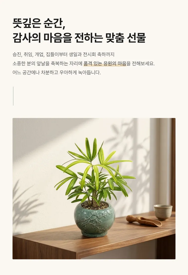 관음죽(서황금) — 상품 상세
