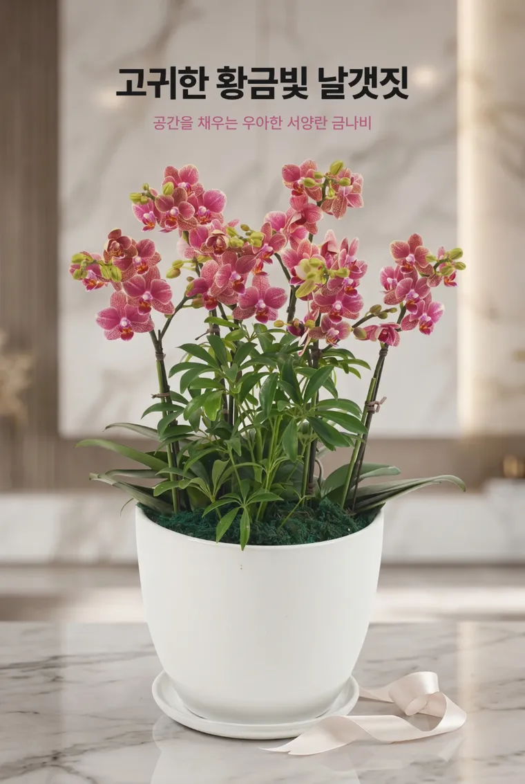 Lan hồ điệp Golden Butterfly — Hình chi tiết