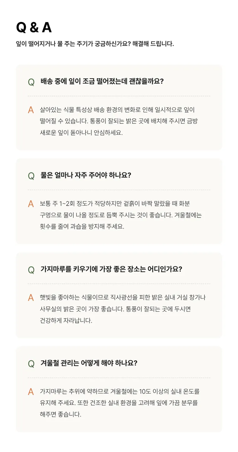 가지마루B — 상품 상세