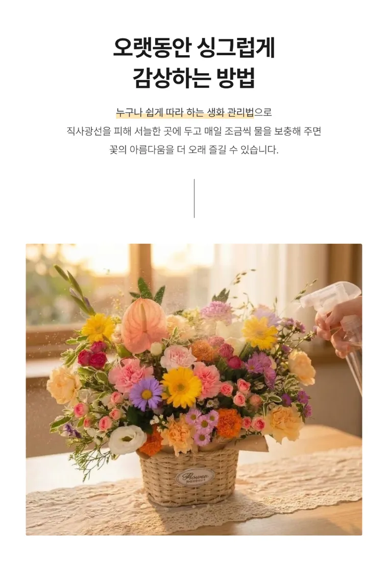 행복한 꽃소풍 — 상품 상세
