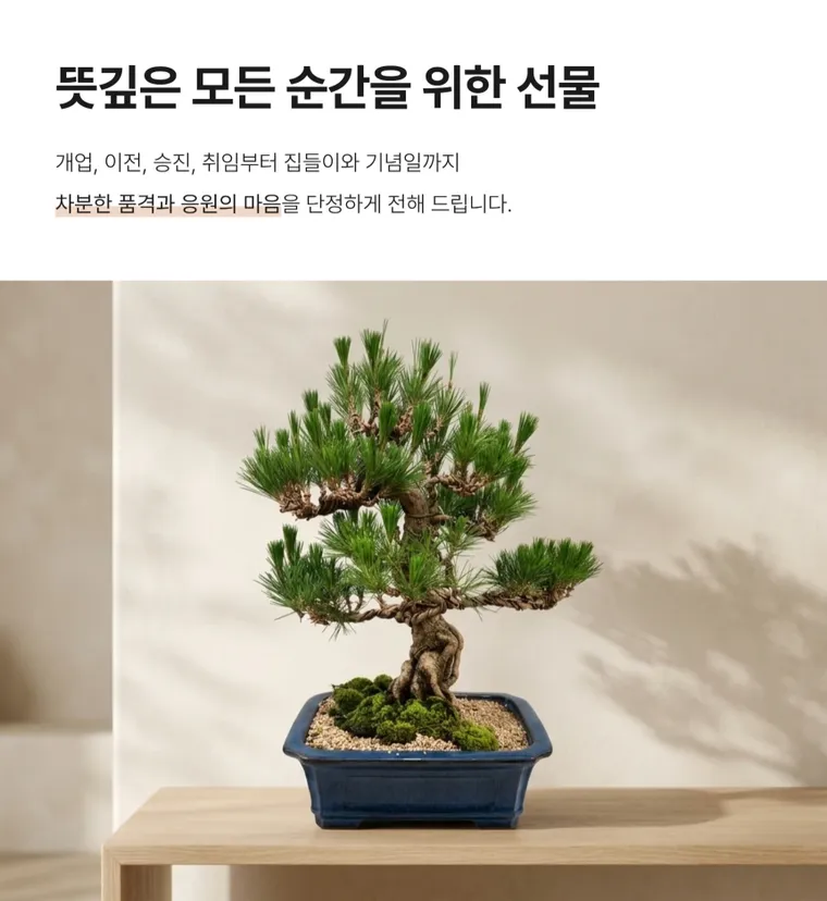 Bonsai thông C — Hình chi tiết