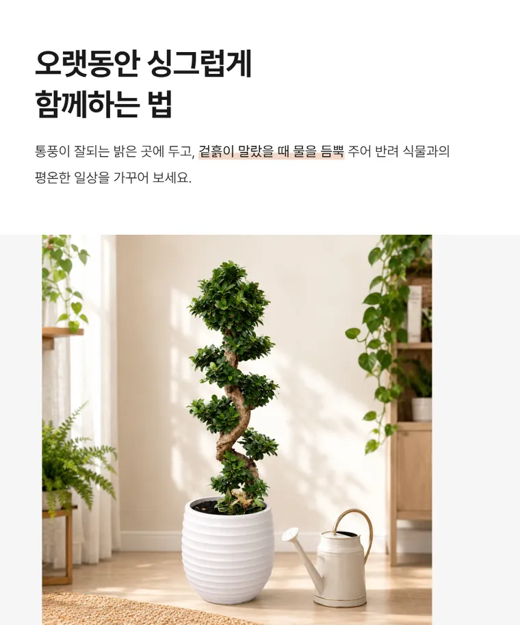 가지마루B — 상품 상세
