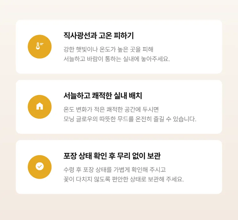 모닝글로우 — 상품 상세