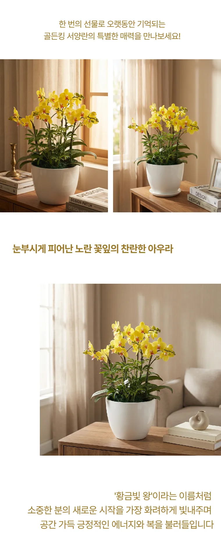 골든킹 — 상품 상세