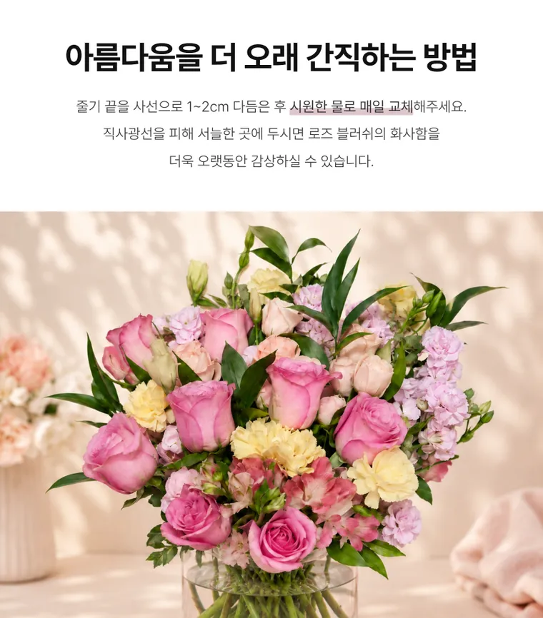 Rose Blush — Detail images