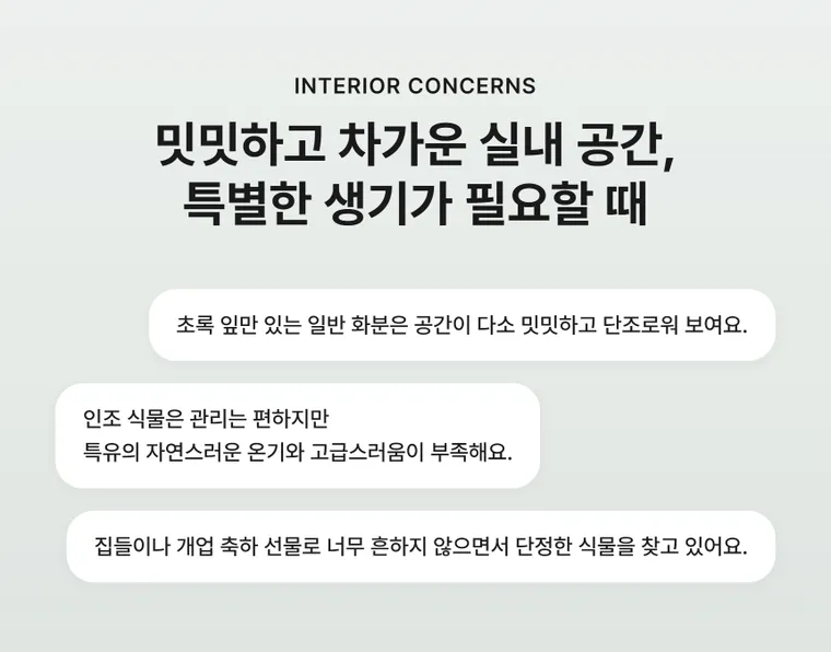 만냥금 — 상품 상세