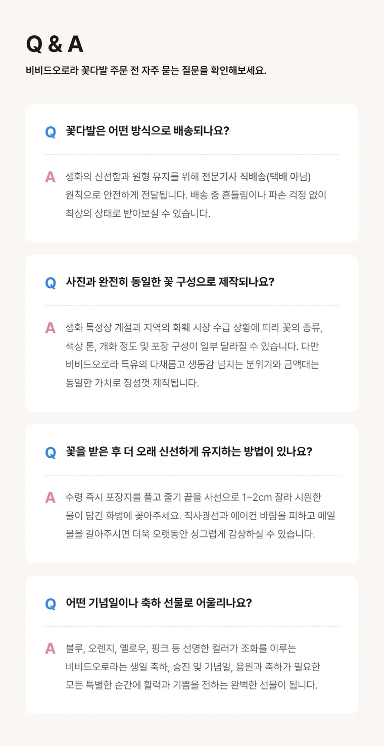 비비드오로라 — 상품 상세