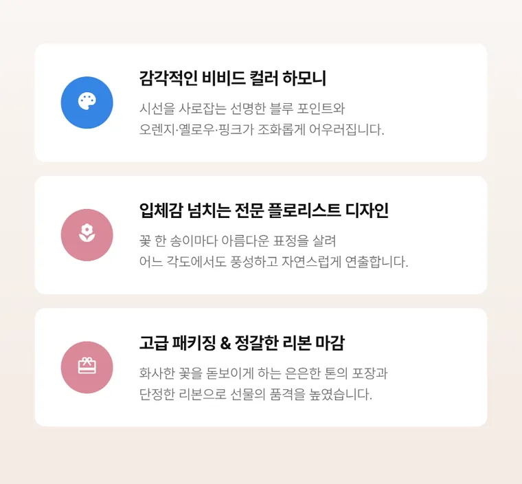 비비드오로라 — 상품 상세