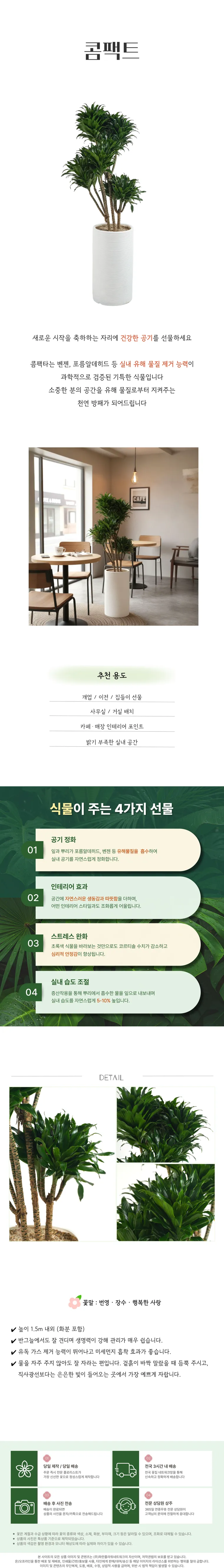 콤팩트 — 상품 상세