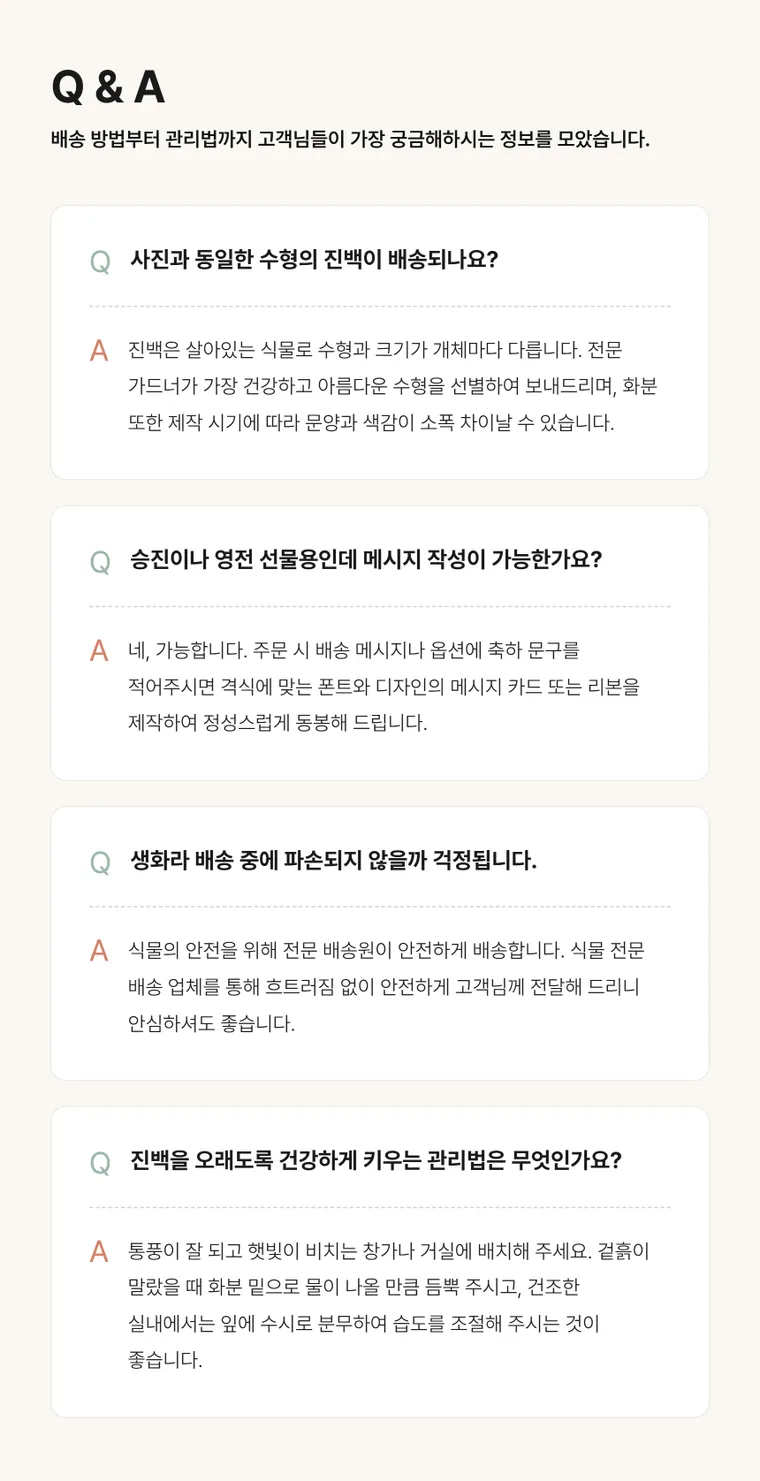 진백 B — 상품 상세