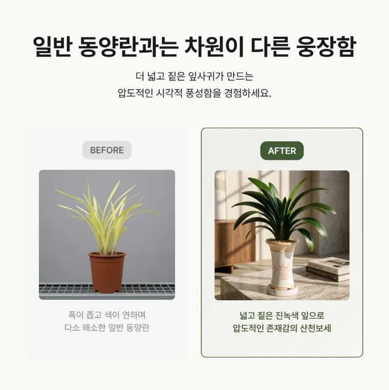 산천보세(일반분) — 상품 상세