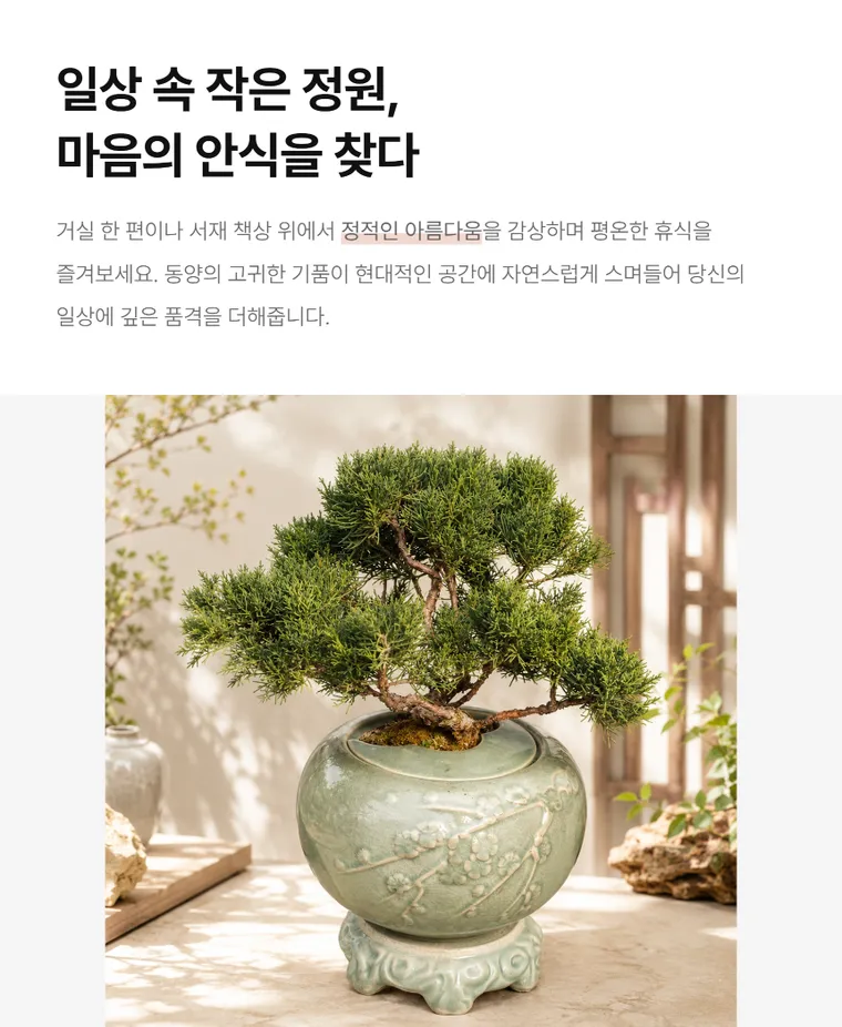 진백 B — 상품 상세