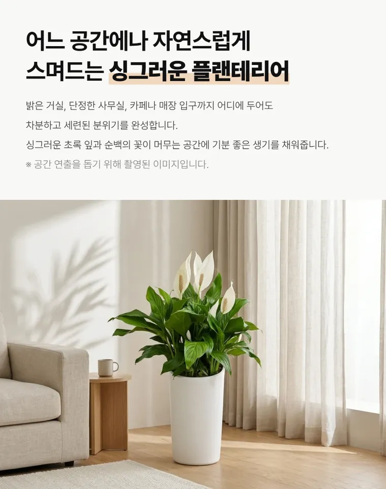 스파트필름 A — 상품 상세
