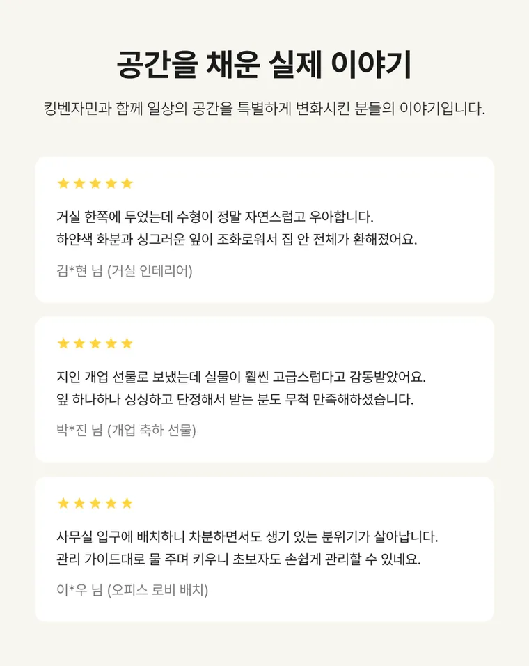 킹벤자민 B — 상품 상세