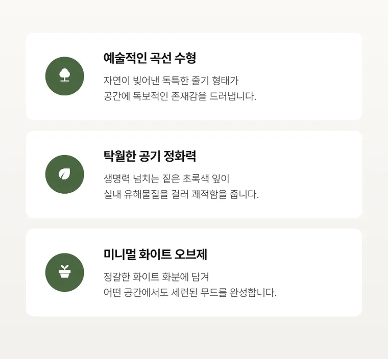 가지마루B — 상품 상세