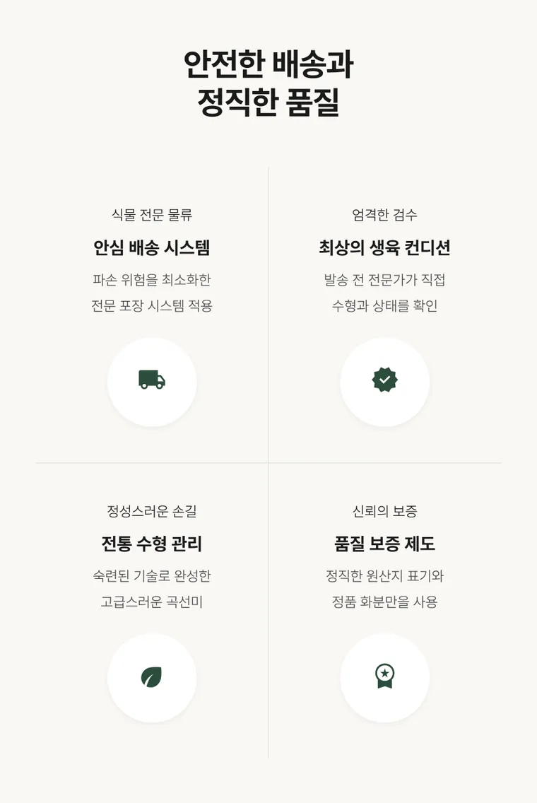 진백 A — 상품 상세